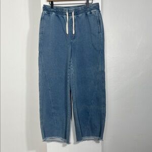 Aerie Blue Wide Leg  Pants